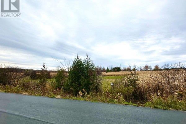 1198 Atchison Road, Otonabee South Monaghan, ON K0L1V0 Photo 2
