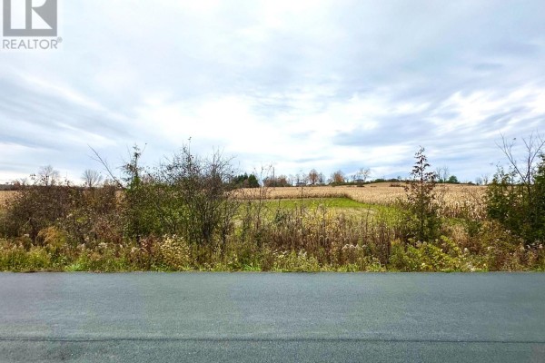 1198 Atchison Road, Otonabee South Monaghan, ON K0L1V0 Photo 3