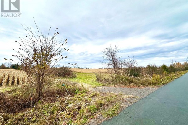 1198 Atchison Road, Otonabee South Monaghan, ON K0L1V0 Photo 4