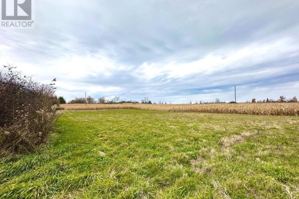 1198 Atchison Road, Otonabee South Monaghan, ON K0L1V0 Photo 5