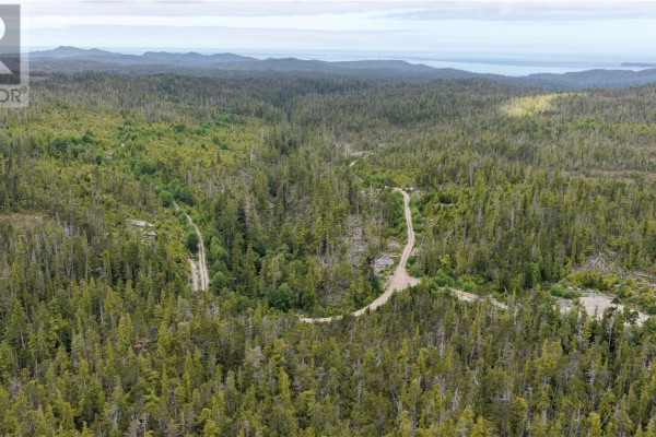 11cape Sutil Holberg (off) Hwy, Port Hardy, BC V0N2P0 Photo 5