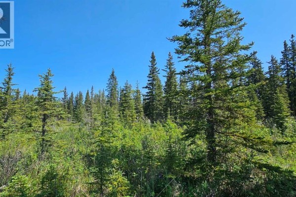 12, 34364 Range Road 42, Rural Mountain View County, AB, photo 3
