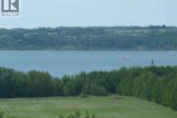 View of a wide blue lake beyond a green treeline and lush grassy fields under a cloudy sky. - 12, 420069 Range Road 284, Rural Ponoka County