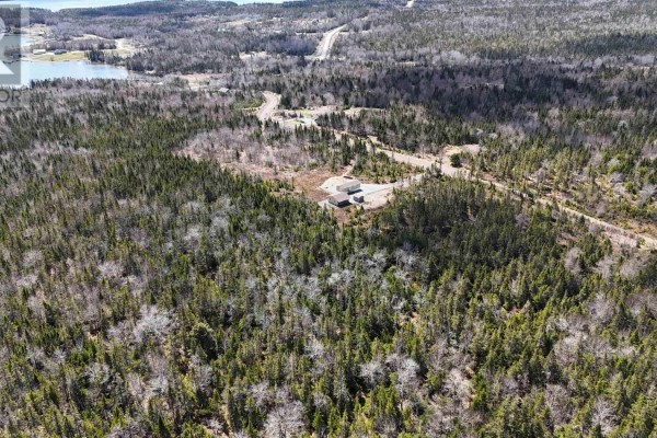 12,13,14,15,16 Hill Street, French Cove, NS B0E3B0 Photo 3