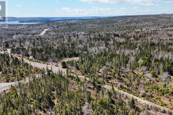 12,13,14,15,16 Hill Street, French Cove, NS B0E3B0 Photo 4