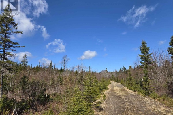 12,13,14,15,16 Hill Street, French Cove, NS B0E3B0 Photo 5