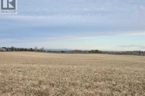 12-12-21-29w4,  64 Street E, Rural Foothills County, AB T0L0X0 Photo 5