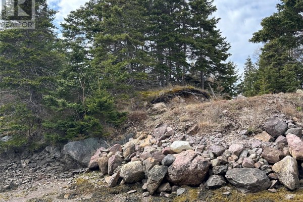 12-16 Back Cove Road, Avondale, NL A0A1B0 Photo 5