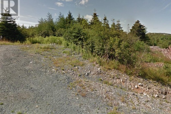 Gravel driveway leading to a clearing with mixed trees and brush in the background. - 12-16 Mountain Road, Brigus
