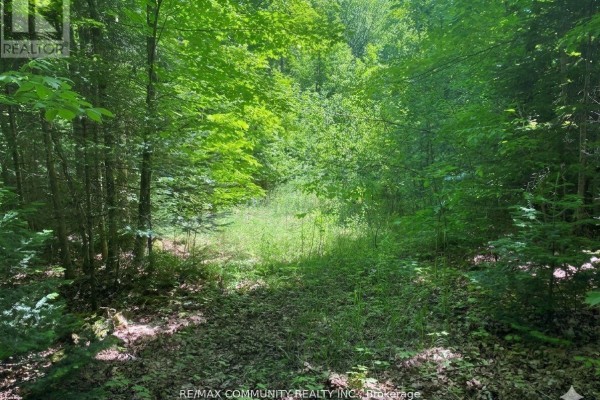 12 Con Concession, Highlands East, ON, photo 3