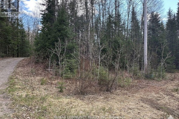 12 Con Concession, Highlands East, ON K0L3C0 Photo 4