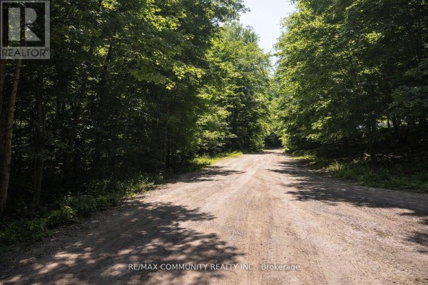 12 Con Concession, Highlands East, ON K0L3C0 Photo 5