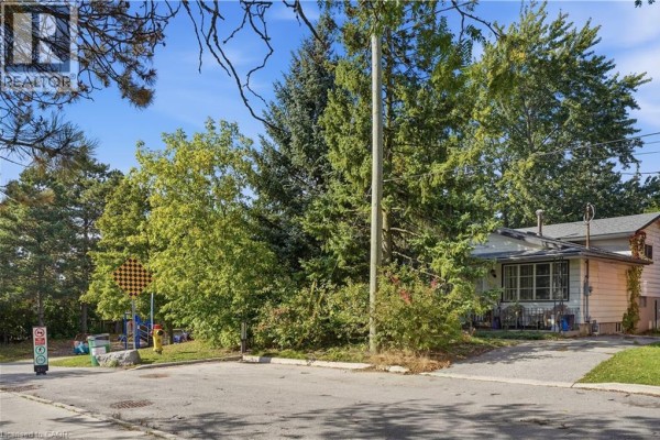 Bonus Room - 12 Hill Street, Kitchener, ON N2H5T1 Photo 3