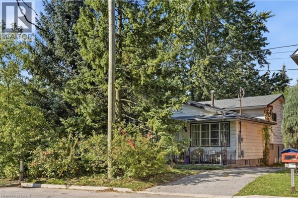 Recreation room - 12 Hill Street, Kitchener, ON N2H5T1 Photo 4