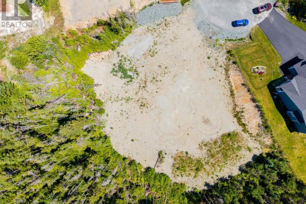 12 Moses Place, Portugal Cove St  Philips, NL, photo 3
