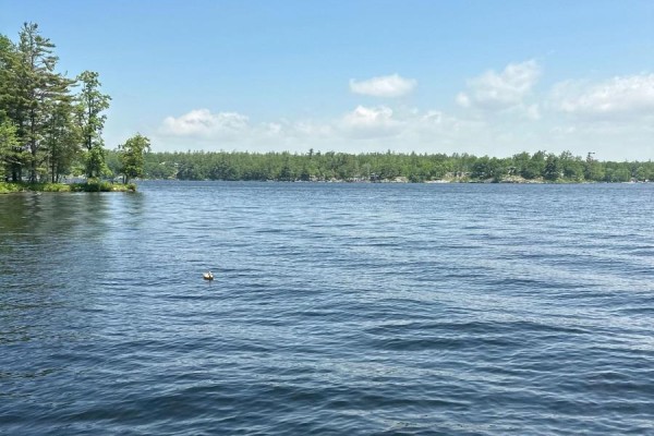12 Severn River Shore, Muskoka Lakes), ON P0C1M0 Photo 3