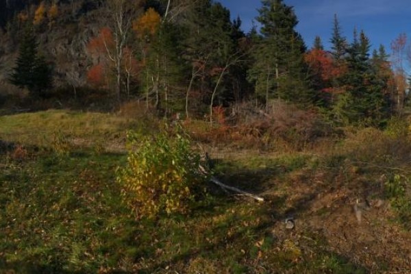 12 Summerville Heights, Clarenville, NL A5A1X9 Photo 2