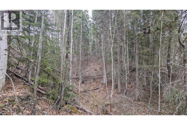 Sloping wooded terrain with many trees and dry underbrush under an overcast sky. - Lot 12 Summit Road, Canim Lake