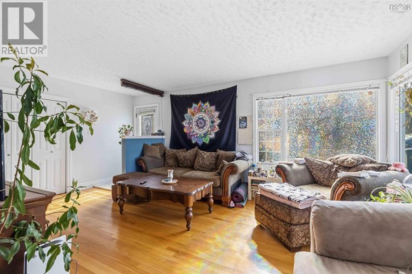Living room with hardwood floors, couches, large windows, and plants. - 12/14 Laurie Street, Waverley