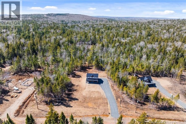 Aerial view of the property with surrounding trees and driveway. - 120 John Chessie Dr, Yoho