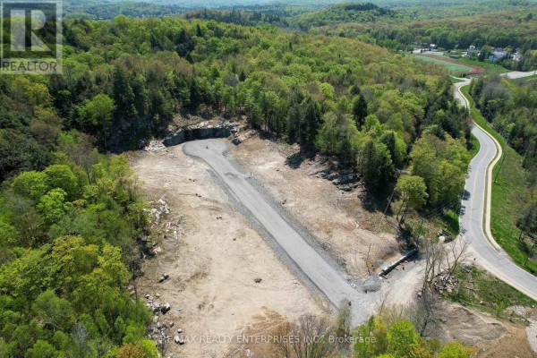 Elevated view showing the cleared lot with a driveway loop, bordered by trees and adjacent to a winding road. - 120 Townline Road E, Huntsville