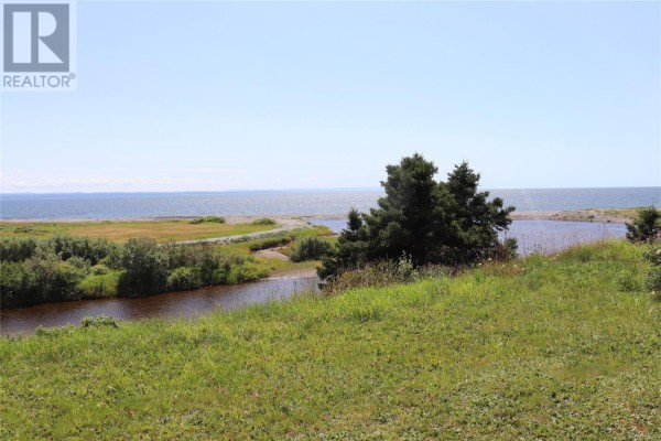 120 West Street, Stephenville, NL, photo 2