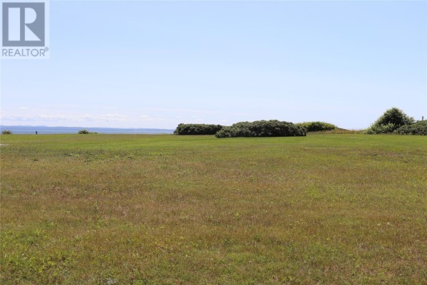 120 West Street, Stephenville, NL, photo 3
