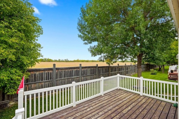 Wooden deck with white railings overlooks a wooden fence and a field on a sunny day. - 120 Wyndstone Circle, East St Paul