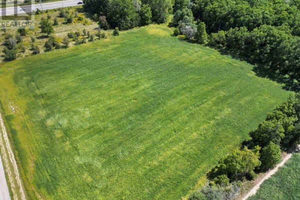 Close-up aerial view of a large, green, cultivated field with a treed border. - 12027 Sunset Road, St  Thomas