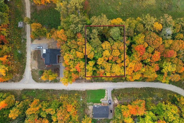 Overhead view of a wooded lot at 121 Dundas, marked by a red rectangle, with two nearby houses. - 121 Rue Dundas, Shawville