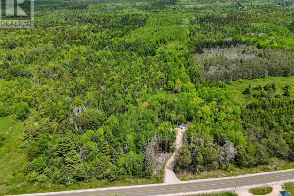 1210 Highway 10, Springfield, NS B0R1H0 Photo 3