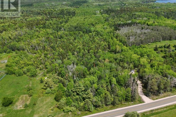 1210 Highway 10, Springfield, NS B0R1H0 Photo 4