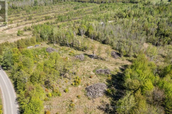 1211 Van Buren Street, North Grenville, ON K0G1J0 Photo 5