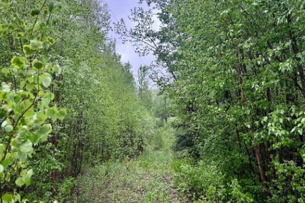 122, 67458 Mcgrane Rd, Lac La Biche, AB T0A2C0 Photo 2