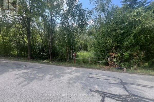 122-123 Riverview Beach Road, Georgina, ON L0E1N0 Photo 5