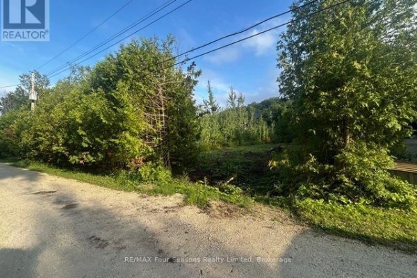 122 James Street, Blue Mountains, ON L9Y0T6 Photo 5