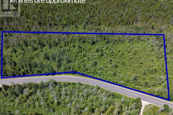 122 Tamarac Road, Northern Bruce Peninsula, ON, photo 3