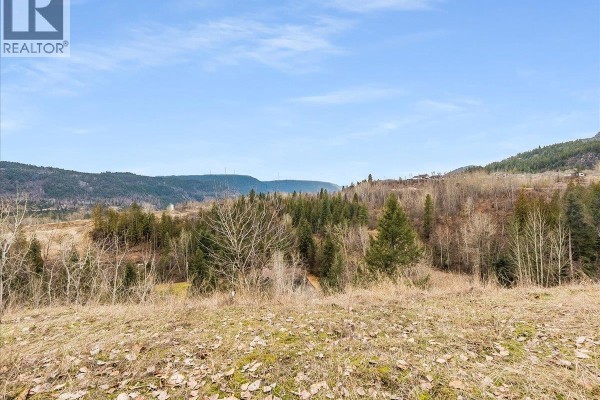 1220 37th Street, Castlegar, BC V1N3N1 Photo 5