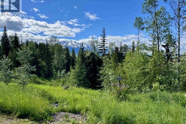 Bedroom 2 - 1220 Lowland Road, Smithers, BC V0J2N6 Photo 5