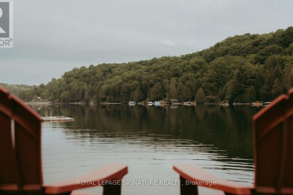 View from the dock with two red Adirondack chairs facing a treed shoreline. - 1221 Hand Drive, Highlands East