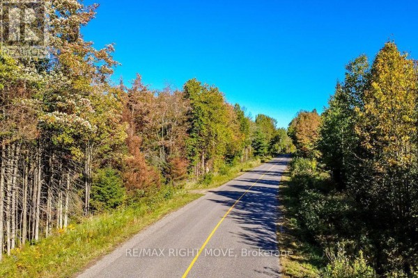 1223 Southwood Road, Gravenhurst, ON P0E1N0 Photo 2