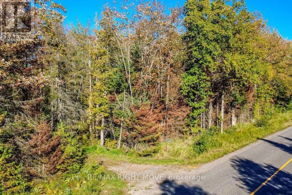1223 Southwood Road, Gravenhurst, ON P0E1N0 Photo 3
