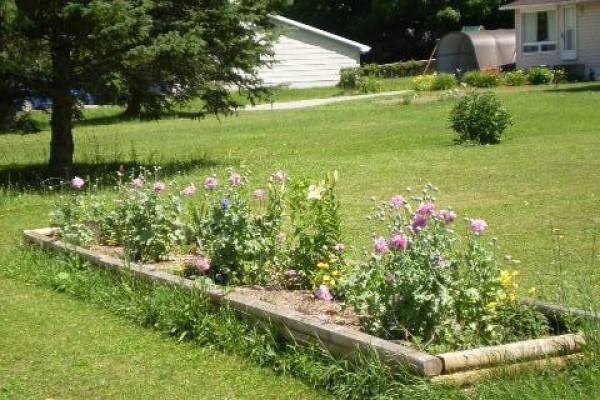 1225 Spring Valley Road, Minden Hills, ON, photo 3