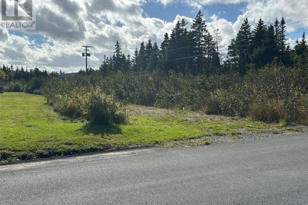 123-125 Kildare Road, Harbour Grace, NL A0A2M0 Photo 3