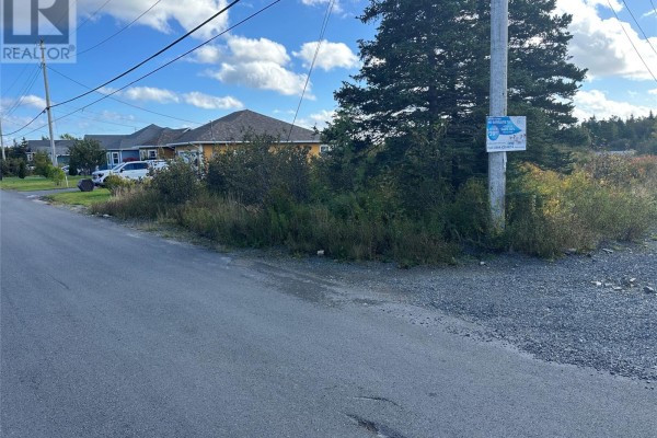 123-125 Kildare Road, Harbour Grace, NL A0A2M0 Photo 4