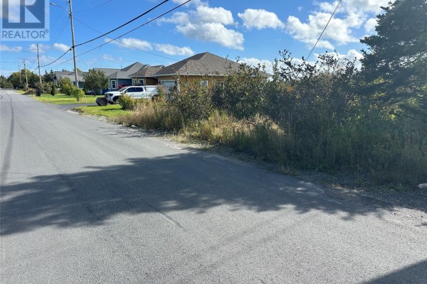 123-125 Kildare Road, Harbour Grace, NL A0A2M0 Photo 5