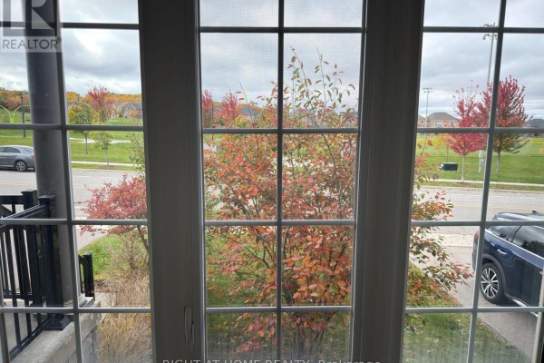 Kitchen - 123 Dog Wood Boulevard, East Gwillimbury, ON L9N0S9 Photo 4