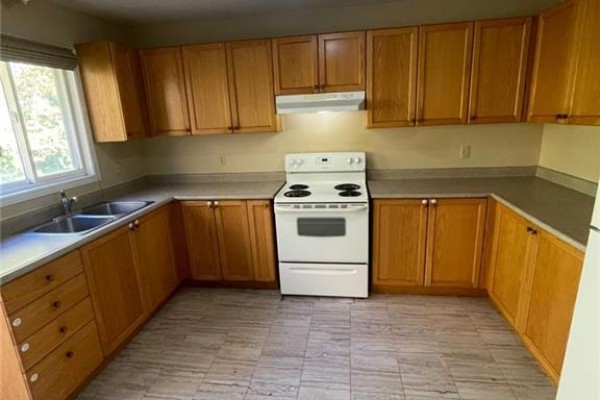 Dining room - 123 Elmira Road N Unit# Upper, Guelph, ON N1K1Z1 Photo 5