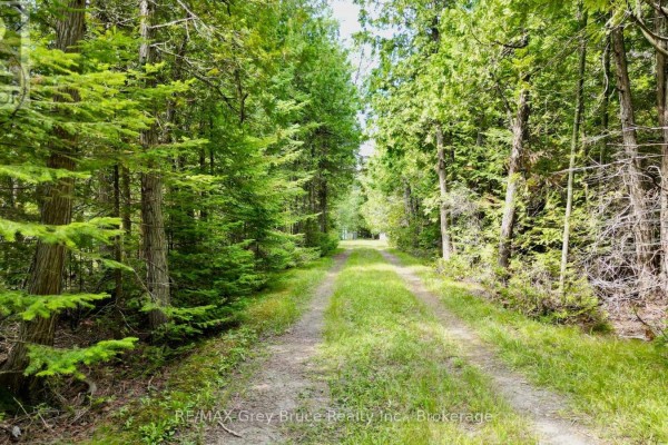 Bedroom 2 - 123 Fowlie Road, Northern Bruce Peninsula, ON N0H1W0 Photo 5