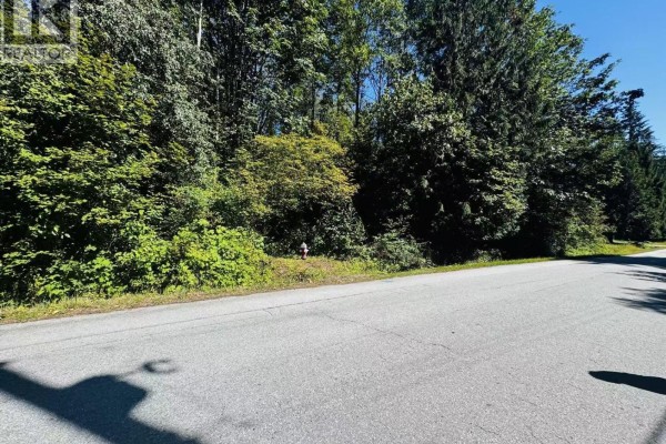 12300 264 Street, Maple Ridge, BC V2W1P1 Photo 4